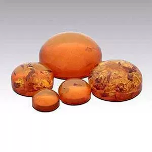 Amber - Cabochon