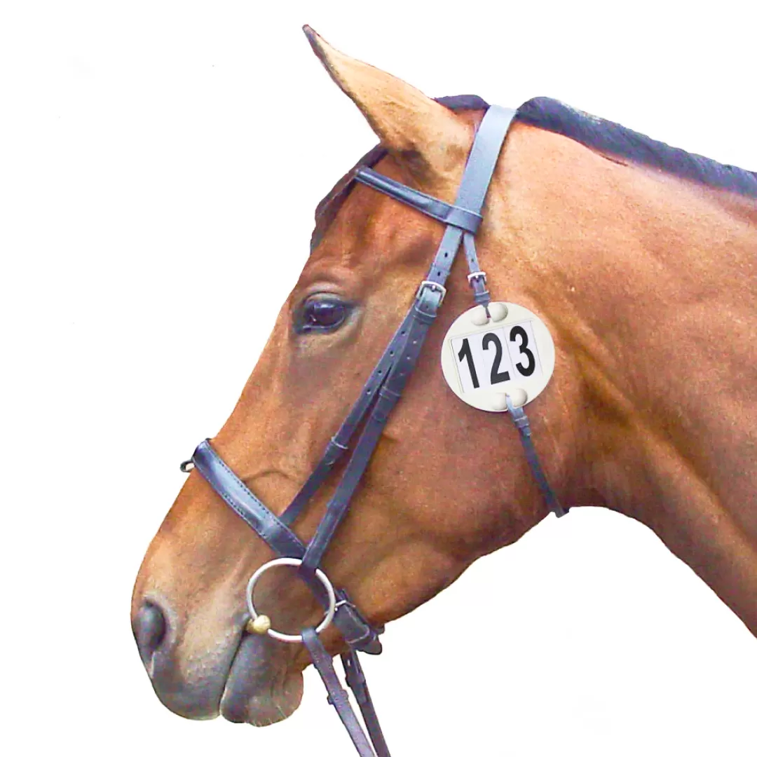 Equidisc Classic Bridle Number Holder