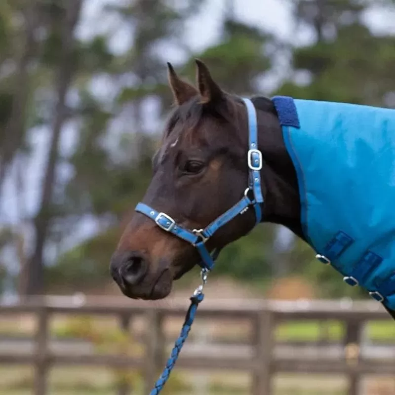 Eurohunter EMB Comfort Halter & Lead Set Powder Blue with Charcoal Trim (EH020PBC)