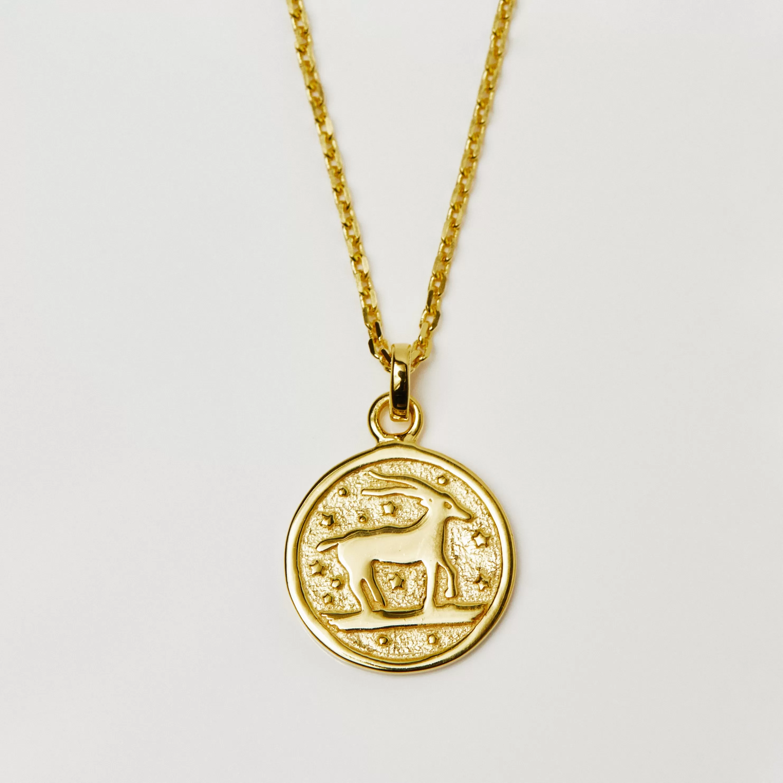 Horoscope Zodiac Engravable Coin Necklace