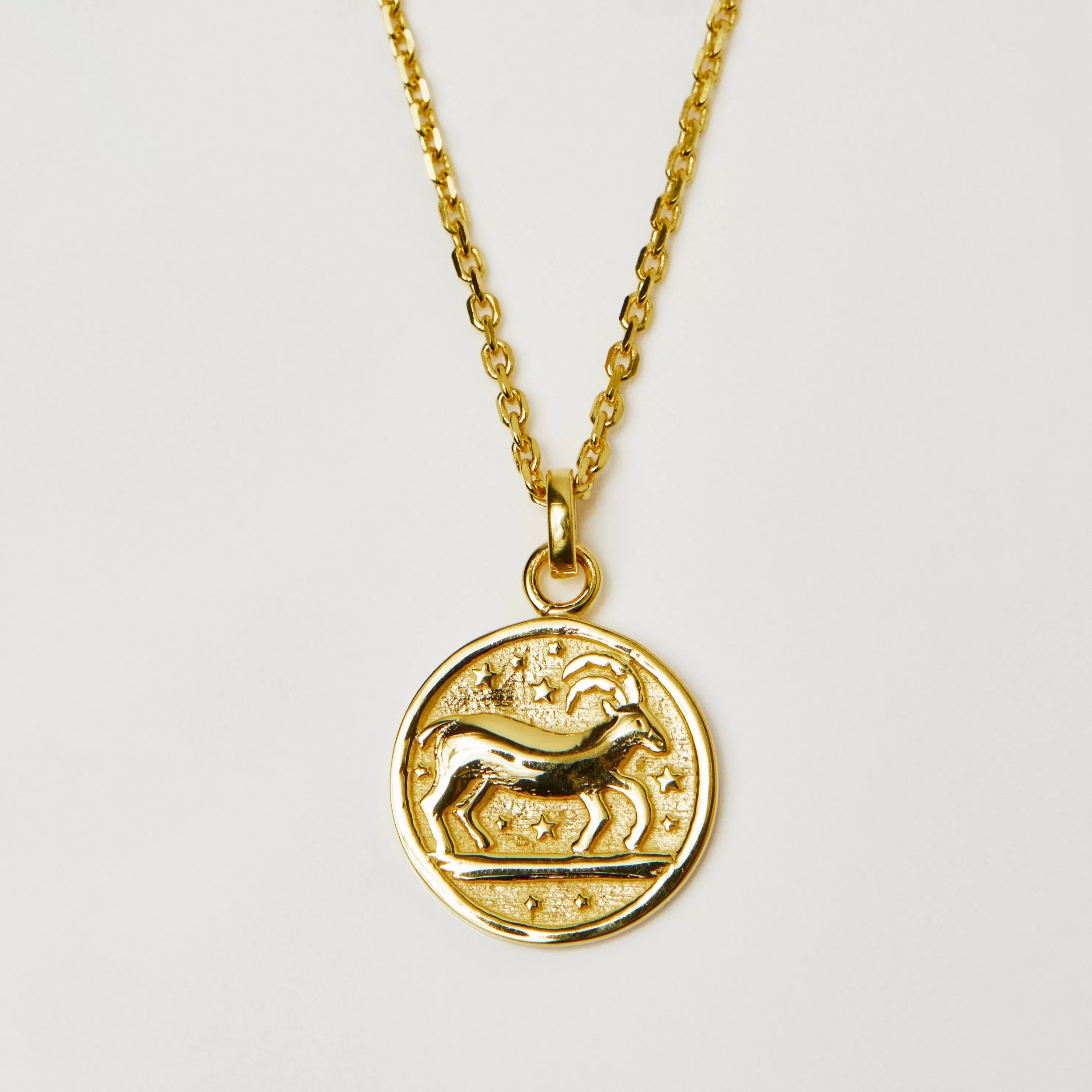 Horoscope Zodiac Engravable Coin Necklace