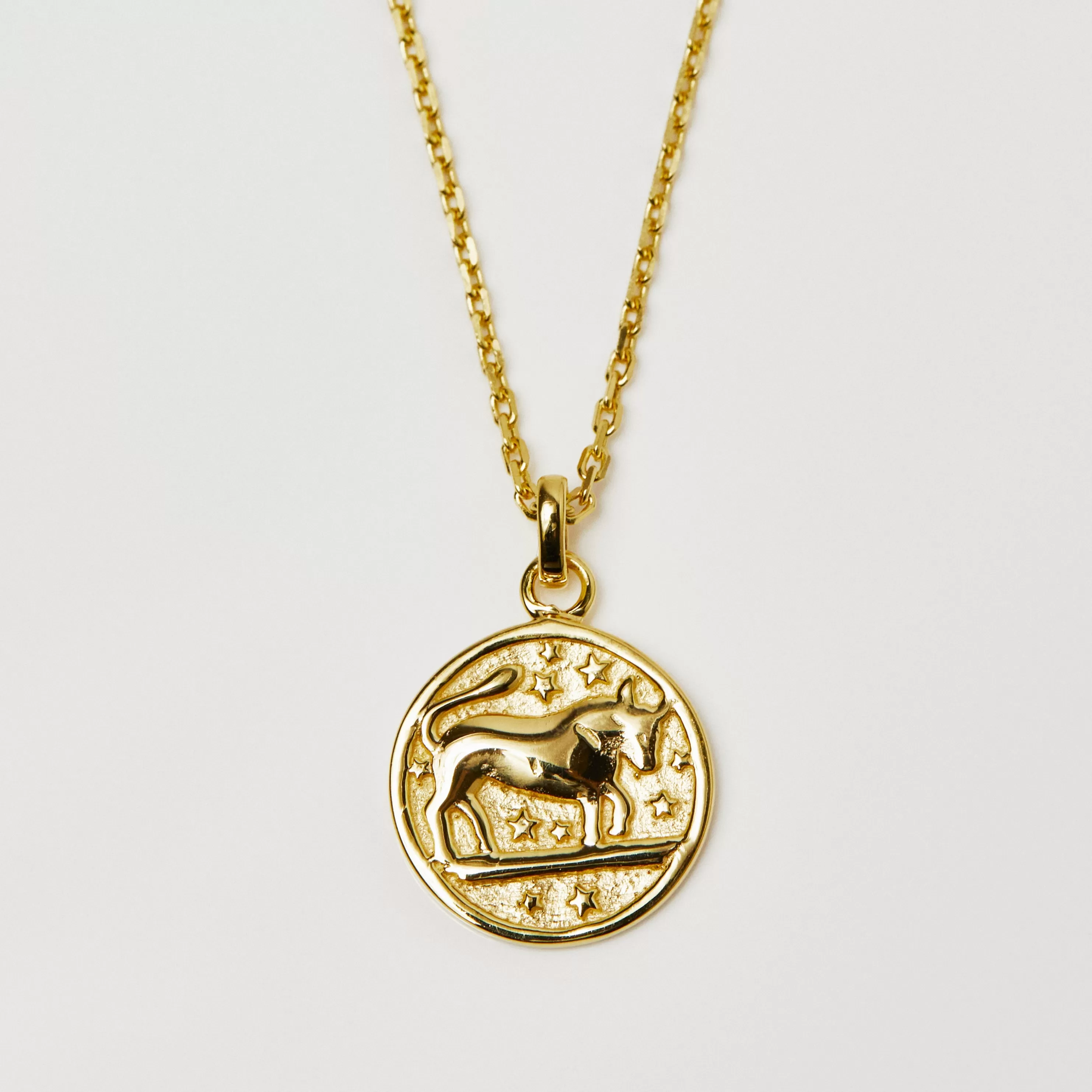 Horoscope Zodiac Engravable Coin Necklace