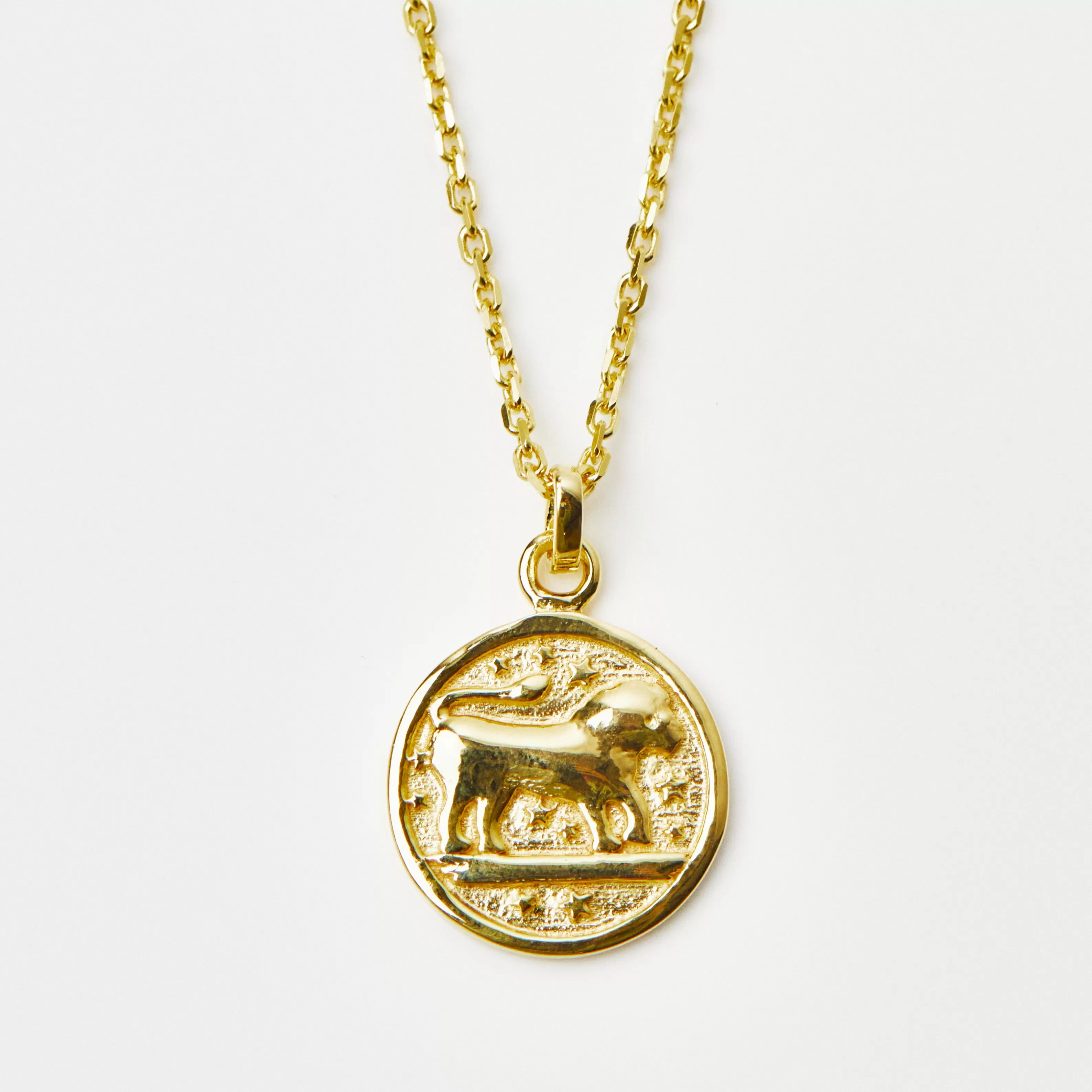 Horoscope Zodiac Engravable Coin Necklace