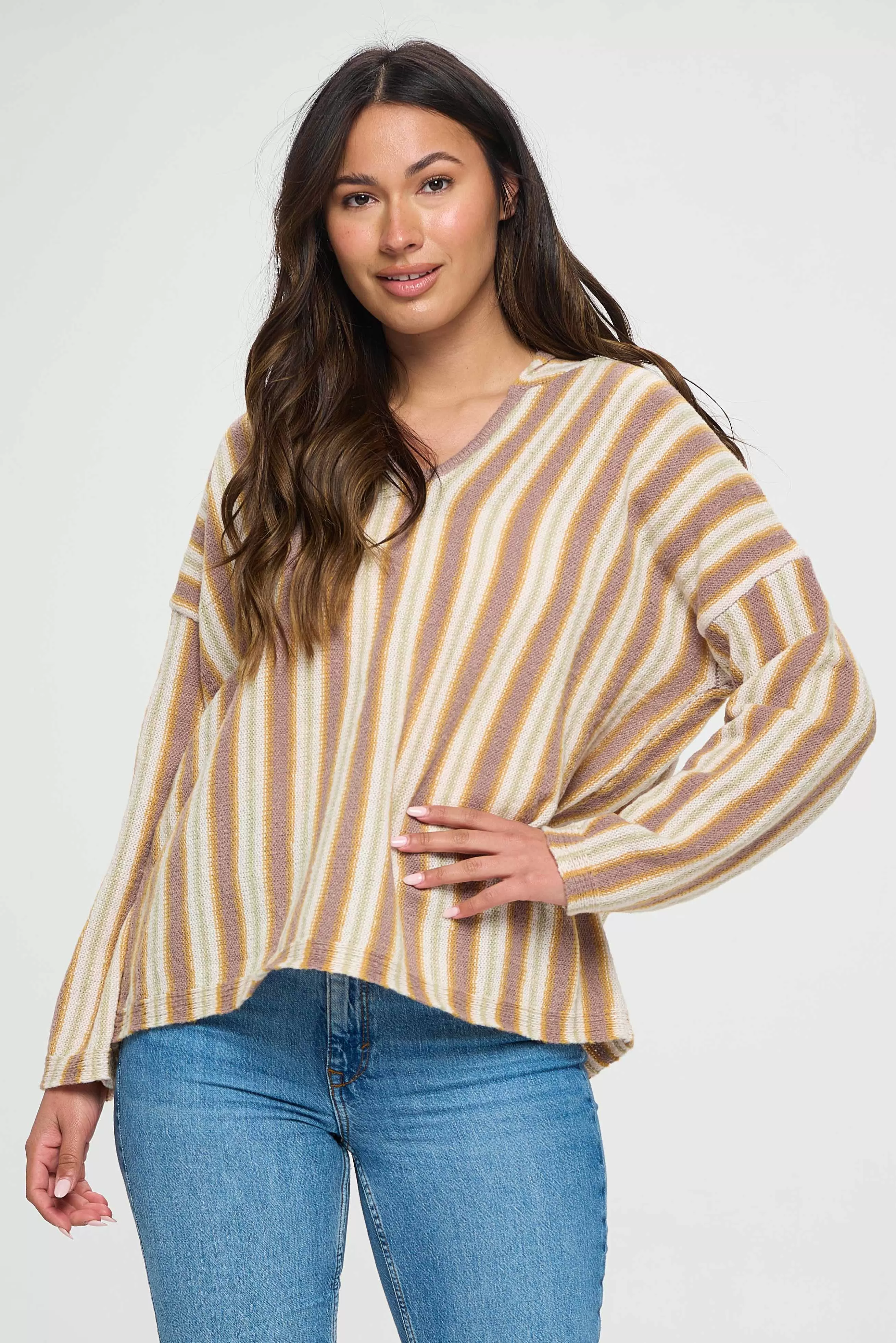 Soft Tone Brown Striped Top