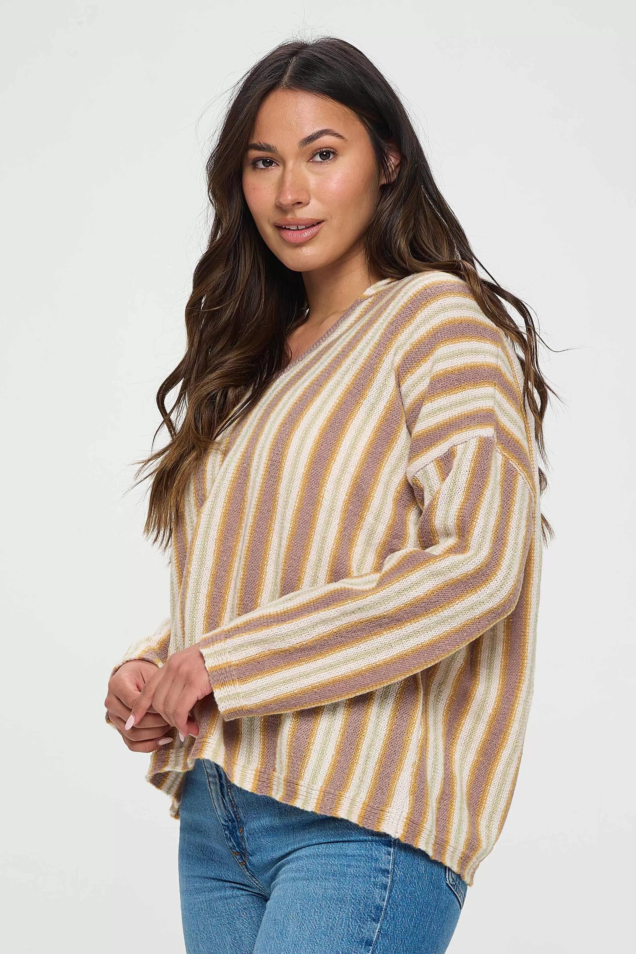 Soft Tone Brown Striped Top